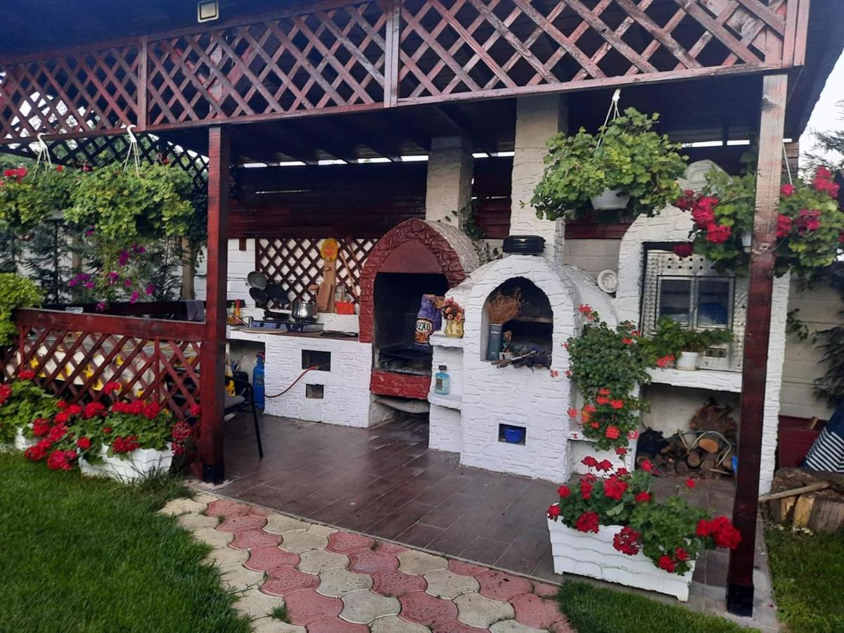 Casa Mona Βίλα Oradea Εξωτερικό φωτογραφία